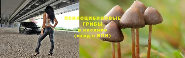 шишки Тольятти