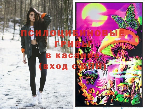 шишки Тольятти