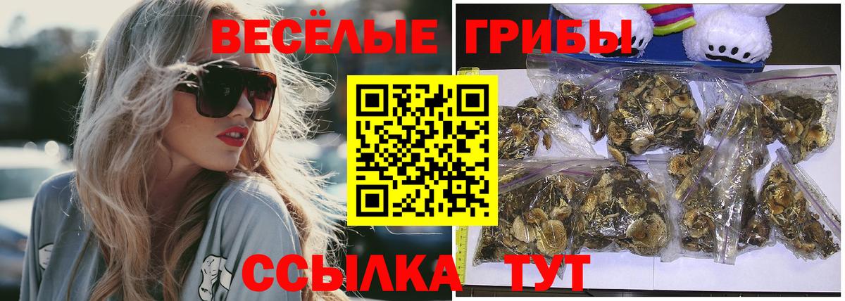 Галлюциногенные грибы мицелий Губкинский