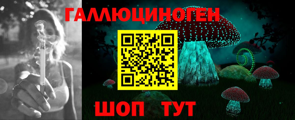 Псилоцибиновые грибы ЛСД  Галлюциногенные грибы Psilocybe  Вход с VPN  Губкинский 