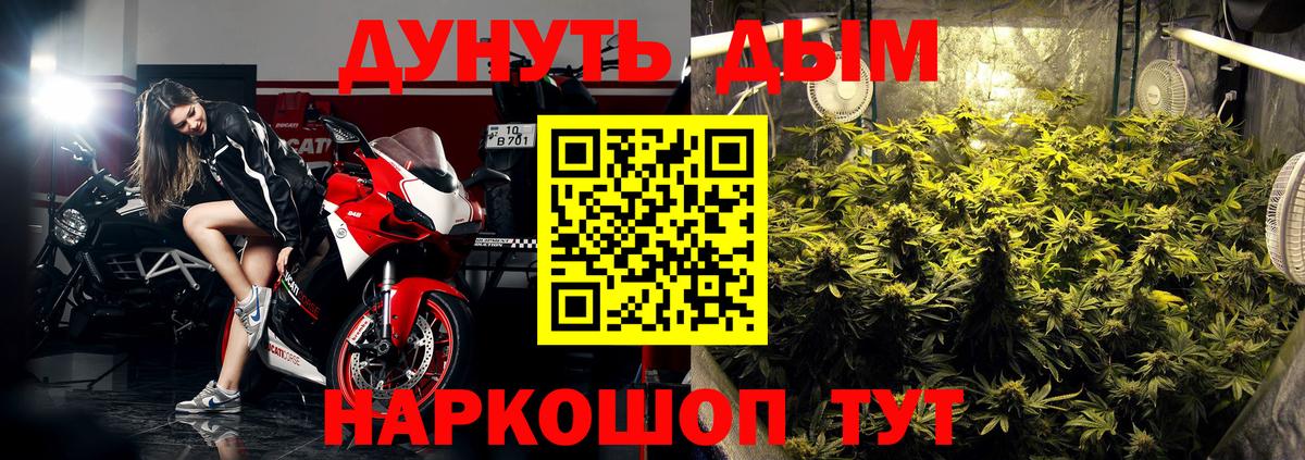 Каннабис OG Kush  Шишки марихуана OG Kush  Вход с VPN  Губкинский 